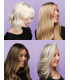 Champú Cabello Rubio 4P - Olaplex